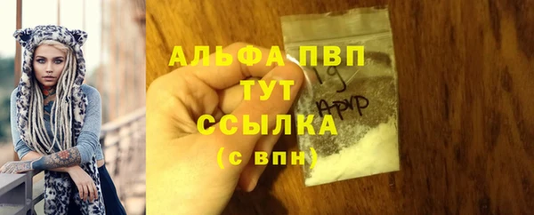spice Белокуриха