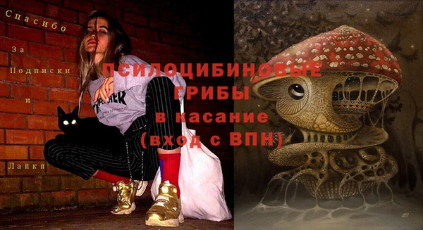 spice Белокуриха