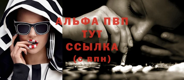 spice Белокуриха