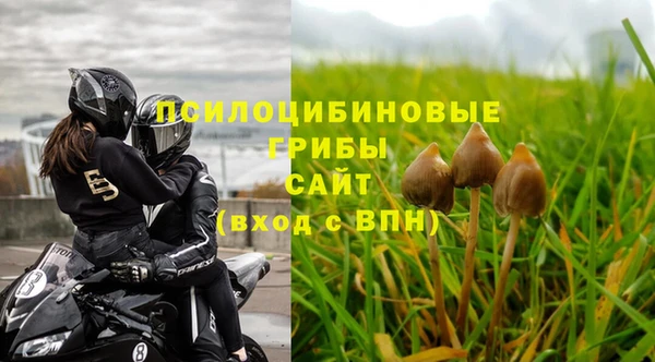 spice Белокуриха
